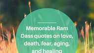 Memorable Ram Dass quotes on love, death, fear, aging, and healing