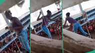 "They're all cheering her up": Video shows moment lady was caught performing for chickens in poultry