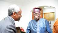 Gbajabiamila hails Tinubu, says no Nigerian is passionate about politics like ex-Lagos governor