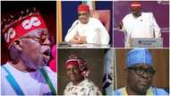 Jerin Sunayen Jiga-Jigan Jam'iyyun Adawa Da Tinubu Zai Naɗa Bayan Rantsarwa