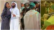 Sweet moment Davido paused performance, tells aide to fetch Chioma as he sings Assurance