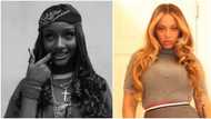 Calm down baby: Ayra Starr tells fan who suggests she is gradually replacing Beyonce, Nigerians react