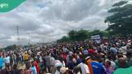 BREAKING: Thugs confront protesters, chase them around Sanwo-Olu’s office in Lagos, video trends