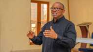 Presidential election: Peter Obi shares his future plans with LP stakeholders, makes tough vow