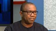 2023: Peter Obi finally reveals what transpired between him, Wike, failed talks with Kwankwaso