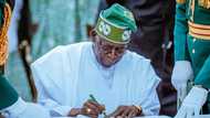 JUST IN: Tinubu approves establishment of two new federal universities