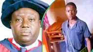 Medical professor explains why Anambra teen impregnating 10 girls may be unlikely