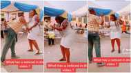 Curvy lady dances & shakes waist at party, confident man challenges her, shows his funny moves