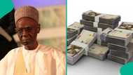 Full list: Salaries of Nigerian president, vice president, senator and speaker in 1979 resurface