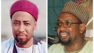 Abduljabbar: Sheikh Maqary ya yi karin haske bayan wasu kalamansa sun tada kura