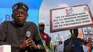 Top 10 African countries' minimum wage ranked as Tinubu approves $44 monthly for Nigerian workers