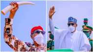 What Nigerians will miss about Buhari after 2023 - Former minister reveals