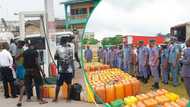 Customs auctions seized petrol worth N38 million at cheap price amid rising cost at filling stations