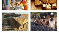 Importance of mineral resources in Nigeria you should know about