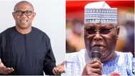 "Atiku, Obi are bad losers": APC campaign gives cryptic description of PDP, LP flagbearers after major defeat