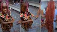 "Little but mighty fingers": Talented girl braids adult's hair in video, netizens hail her