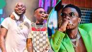Davido celebrates as Wizkid announces his incoming song, fans react:" Joy wan kii am"