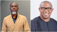 2023: Atiku’s strongest ally reveals real reason why Peter Obi is visiting high-powered churches