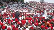 'Yan Ta'adda Ne: Alkalai Sun Bayyana Yadda Su Ka Kare Da 'Yan Kwankwasiyya Masu Jajayen Huluna A Kano