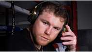 Canelo Álvarez joins 1win as brand ambassador amid pursuit to reclaim super middleweight supremacy