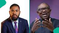 “Peter Obi offered me money but I refused”: Adeyanju claims in fresh video