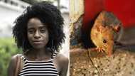 "Don't kill it": Lady tells fumigation workers to spare one rat in her house, story causes stir