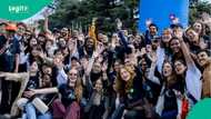 World Health Organization opens opportunity for youth, lists requirements and application process