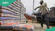 Investors reap big as Dangote Cement shares soar 9.5%, analysts project more gains ahead