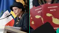 Move to Malta for work: Exact price of employment visa, other requirements for foreigners released