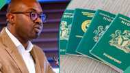 How to become a Nigerian citizen: Requirements and application guide
