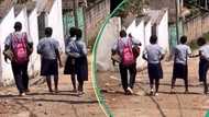 Boy criticised for carrying bags of female classmates while they walk freely like queens on the road