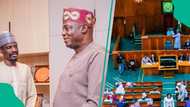 Hadimin Buhari zai bude babin 2023 ya tona abin da ya faru lokacin neman takarar APC