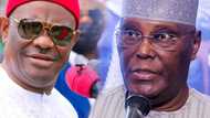 Rikicin PDP: Amintattun Jam'iyya Sun Bullo Da Sabuwar Hanyar Rarrashin Gwamna Wike da Wasu Jiga-Jigai