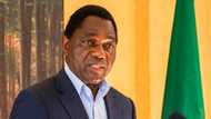 Buhari, Obasanjo congratulate new Zambian president, commend incumbent for accepting election result