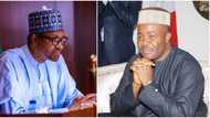 Just in: Akpabio reveals when Buhari will get forensic audit on NDDC