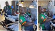 "N8.5m for one": Businessman displays big black snapper fish as customers line up to patronise him