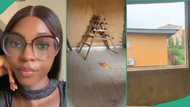 Lady rents self-contain still under construction in Lagos, transforms it into beautiful apartment