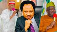 Why Appeal Court should not sack Kano, Plateau governors, Shehu Sani speaks