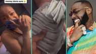 "My December don sure": Lady gushes as Davido spoils her with stack of $100 bills, video stuns many