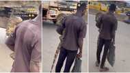 Nigerian man spotted on road with live alligator on his arm, carries it like baby in stunning video