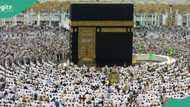 Hajj 2024: Over 1.5m pilgrims arrive In Saudi Arabia as rites begin Friday