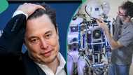 Elon Musk’s Tesla robot malfunction, attacks engineer at factory