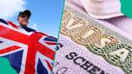 Full list of documents you need and how to apply online for UK student visa 2026