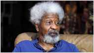 Russia-Ukraine War: Soyinka, 167 other Nobel Laureates condemn further attacks