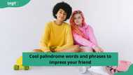 50+ cool palindrome words and phrases to impress your friend