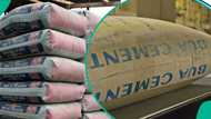 BUA, Dangote Cement dealers release fresh prices as experts compare Nigeria's cost with Africa