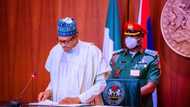 APC chieftain reveals how Buhari is restructuring Nigeria, tackles PDP