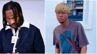 Dem no see bank wey armed robbers attack? Reactions as police arrest Naira Marley's hairstylist during IG live
