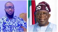 Does any law compel hanging of Tinubu's portrait in offices? Popular lawyer speaks