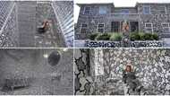 It took him 2 years: Man uses 2,296 pens & paints to cover every inch of his mansion in doodles, video trends